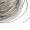 304 Stainless Steel Wire STAS-A115-01P-0.5mm-3
