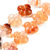 Natural Agate Beads Strands G-H024-C01-01-2