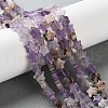 Natural Amethyst Beads Strands G-G085-B51-02-1