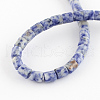 Natural Blue Spot Jasper Bead Strands G-R187-06-2