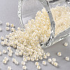 11/0 Grade A Round Glass Seed Beads SEED-N001-F-252-1