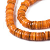 Natural Freshwater Shell Beads Strands BSHE-I016A-01G-3