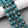 Natural Sesame Jasper Dyed Beads Strands G-D305-B02-01-1