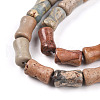 Natural Aqua Terra Jasper Beads Strands G-T140-93-3