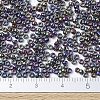 MIYUKI Round Rocailles Beads X-SEED-G007-RR0477-4