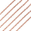 Brass Coated Iron Flat Cable Chains CH-TAC0007-02R-12
