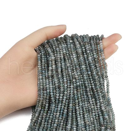Natural Apatite Beads Strands G-RM2025-C39-3x4mm-1