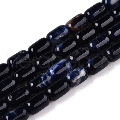 Natural Sodalite Beads Strands G-G980-37B-1