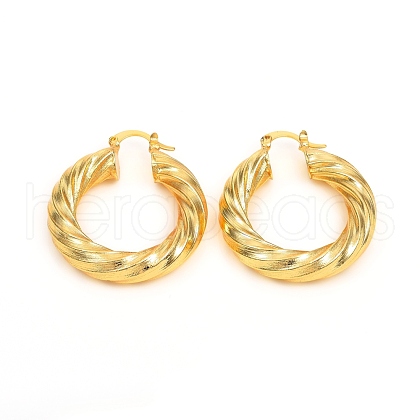 Brass Hoop Earrings EJEW-F250-01-G-1