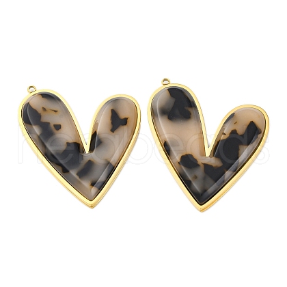 304 Stainless Steel Pendants STAS-V004-06G-01-1