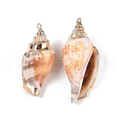 Natural Conch Shell Big Pendants SSHEL-N038-26-1