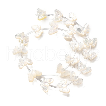 Natural White Shell Beads BSHE-Z008-01-1