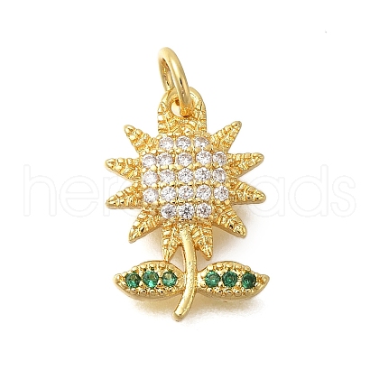 Rack Plating Brass Micro Pave Cubic Zirconia Pendants KK-I716-11G-1