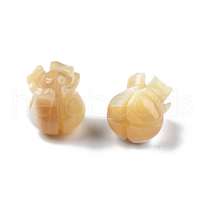 Natural Trochid Shell/Trochus Shell Beads SSHEL-N003-145A-A01-1