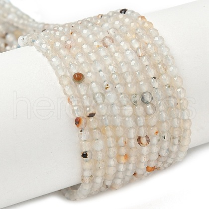 Natural Agate Beads Strands G-H302-A04-03-1