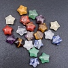 Natural Mixed Gemstone Beads PW-WG5B0B7-08-1