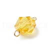 Transparent Acrylic Connector Charms PALLOY-JF03680-02-5