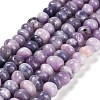 Natural Lepidolite/Purple Mica Stone Beads Strands G-G053-C01-01-1