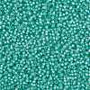 MIYUKI Round Rocailles Beads SEED-G008-RR0571-3