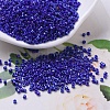 MIYUKI Delica Beads SEED-X0054-DB0216-1