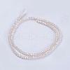 Electroplate Glass Beads Strands GLAA-F077-FR14-2
