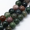 Natural Indian Agate Beads Strands G-I199-05-10mm-1