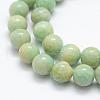 Natural Amazonite Beads Strands G-P322-22-10mm-5