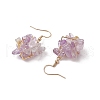 Natural Mixed Stone Beads & Glass Beads Chip Dangle Earrings EJEW-JE06386-5
