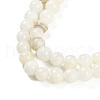 Natural Cultured Freshwater Shell Beads Strands BSHE-H109-03C-4