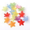 Transparent Acrylic Beads PL594-2
