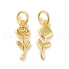 Brass Charms KK-G418-18G-2