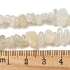 Natural White Moonstone Beads Strands G-P332-01-7