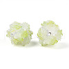 Resin Beads RESI-T059-04E-2