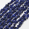 Natural Lapis Lazuli Beads Strands X-G-F328-29-1