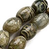 Tibetan Style dZi Beads Strands G-S389-A14-2