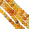 Dyed Natural Dragon Veins Agate Beads Strands X-G-C068-6mm-15-3