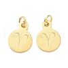 Golden Plated 304 Stainless Steel Charms STAS-C022-01H-G-2