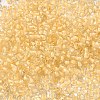 6/0 Transparent Glass Seed Beads SEED-F003-03A-14-3