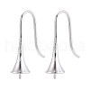 304 Stainless Steel Earring Hooks STAS-N108-30P-1