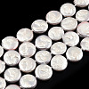 Plating Natural Freshwater Shell Beads Strands SHEL-N026-225C-1