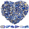 SOFPLATE 500G Natural Lapis Lazuli Chip Beads G-SP0001-07-1