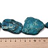 Natural Regalite/Imperial Jasper/Sea Sediment Jasper Beads Strands G-E444-11-A02-5