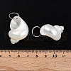 Natural Spiral Shell Pendants SHEL-N036-11-3