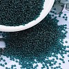 MIYUKI Round Rocailles Beads SEED-G007-RR2406-1
