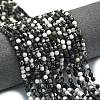 Natural Zebra Jasper Beads Strands G-A260-A52-01-1