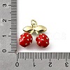 Brass with Enamel Charms KK-Q066-01D-G-3