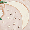 DIY Wood Moon & Star Wall Decoration Painting Kit FIND-WH0117-71-3