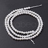 Shell Pearl Bead Strands X-BSHE-P023-5mm-2