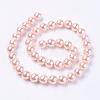 Shell Pearl Beads Strands BSHE-L035-8mm-I01-2