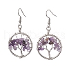 Natural Mixed Stone & Brass Dangle Earring EJEW-JE05981-4
